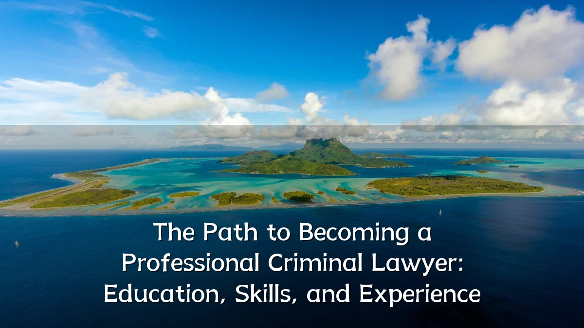 The Path to Becoming a Professional Criminal Lawyer: Education, Skills, and Experience