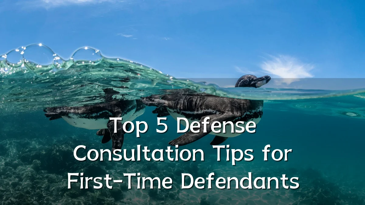 Top 5 Defense Consultation Tips for First-Time Defendants