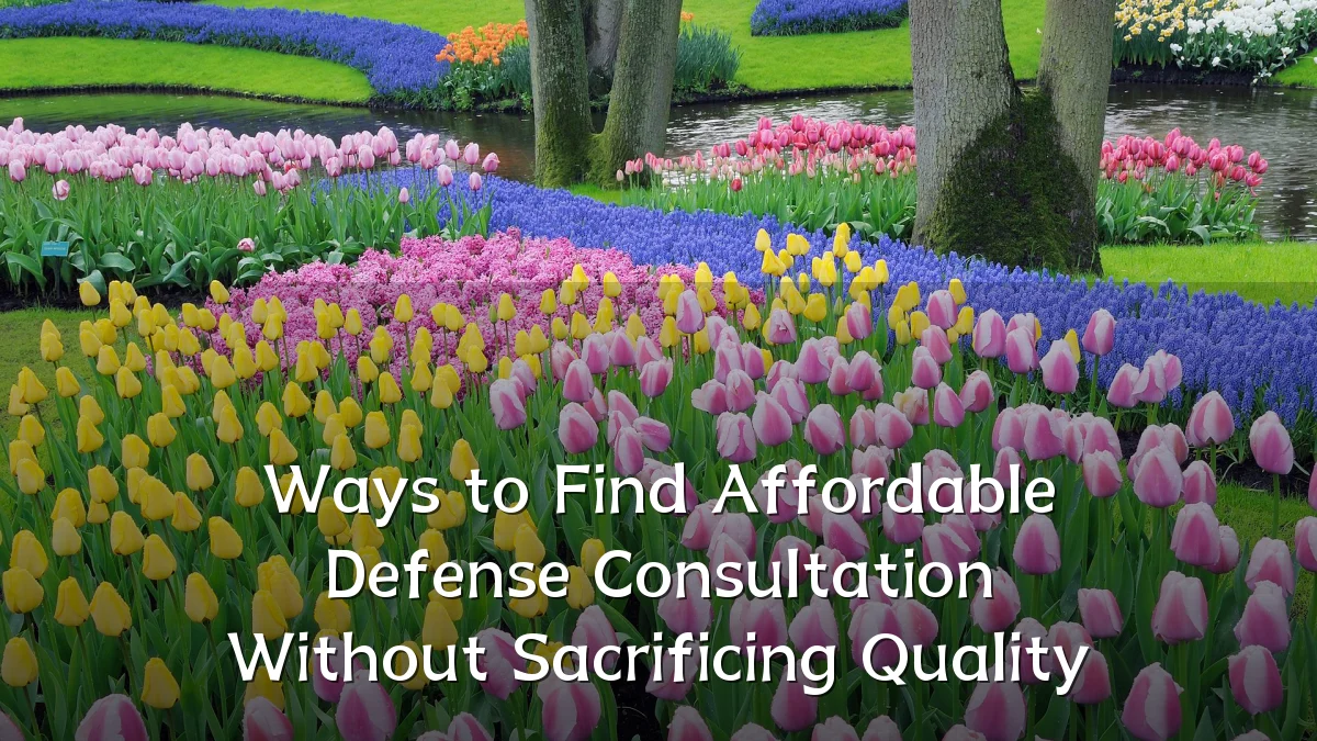 Ways to Find Affordable Defense Consultation Without Sacrificing Quality