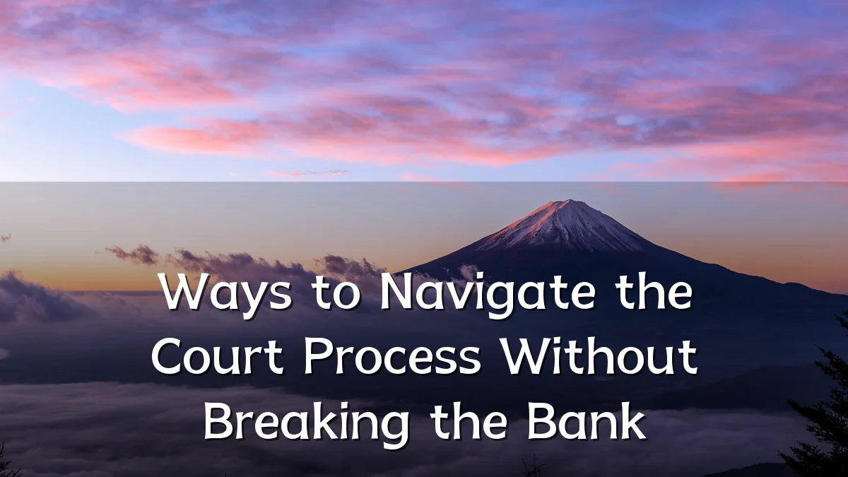 Ways to Navigate the Court Process Without Breaking the Bank