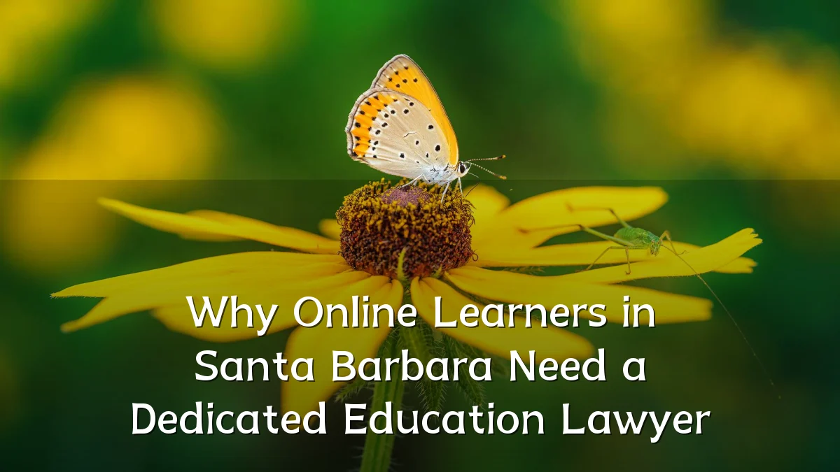 Why Online Learners in Santa Barbara Need a Dedicated Education Lawyer