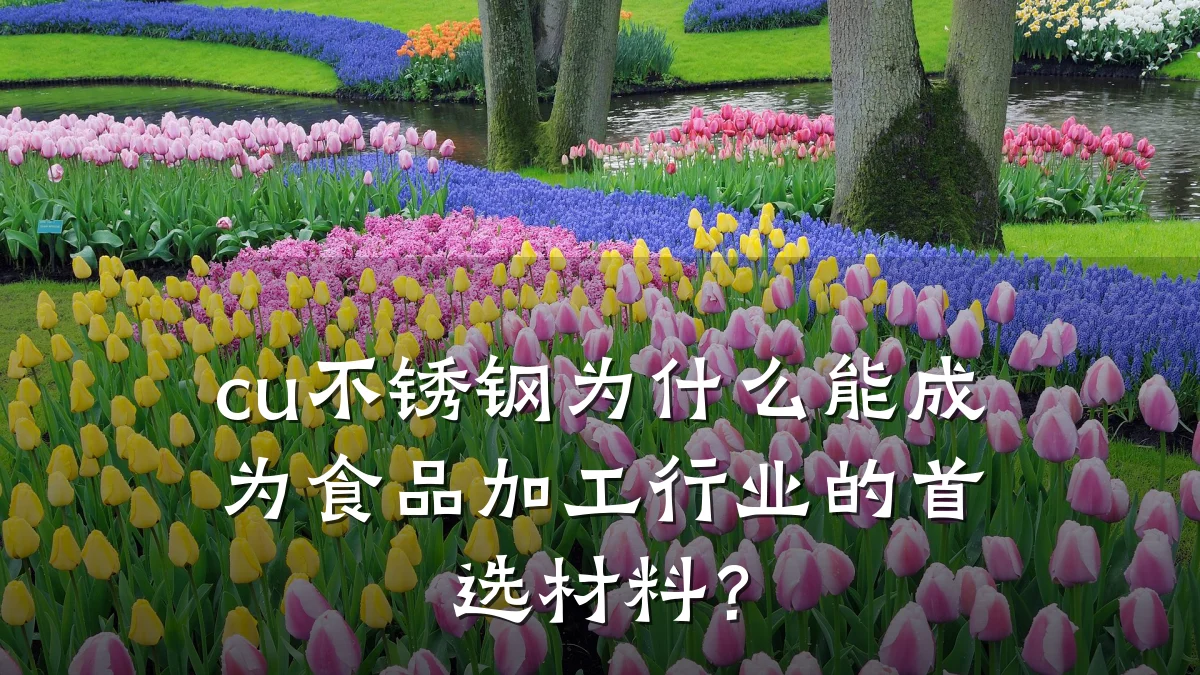 cu不锈钢为什么能成为食品加工行业的首选材料？