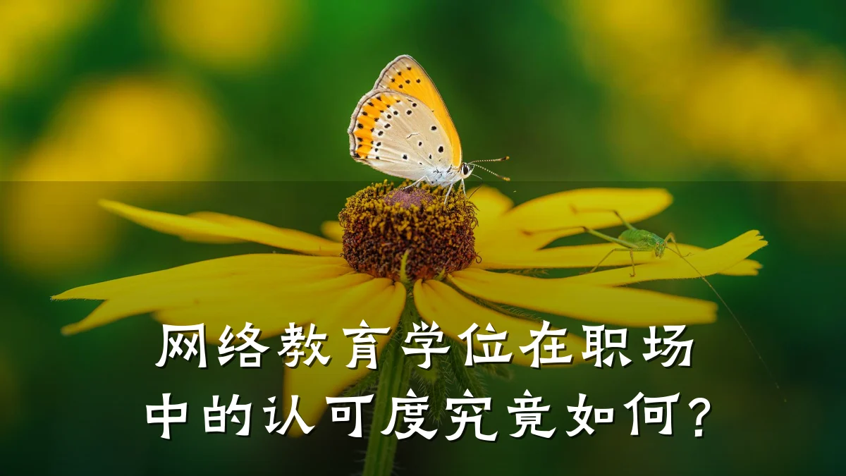 网络教育学位在职场中的认可度究竟如何？